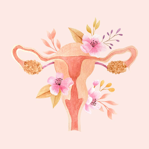 Free Vector | Female reproductive system with flowers