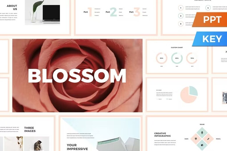 Blossom-presentation-Template-free-download