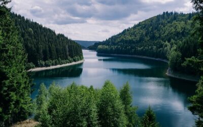 Free Photo | River surrounded by forests under a cloudy sky in thuringia in germany