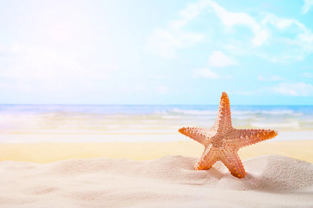 Free Photo | Starfish on summer sunny beach  at ocean background. travel, vacation concepts.