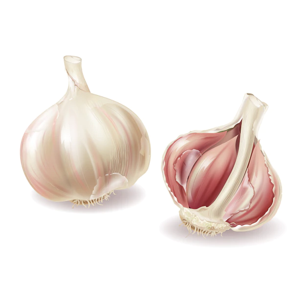 Free Vector | 3d realistic garlic head - whole vegetable and garlic cloves, lobules in shuck, peelings.