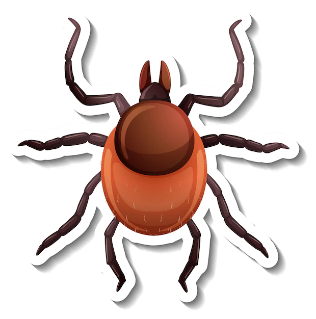 Free Vector | A sticker template with top view of a tick isolated