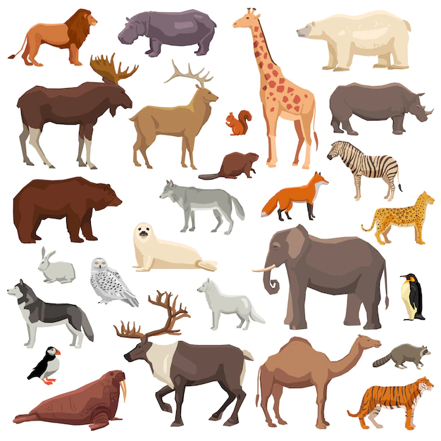 Free Vector | Animals big set