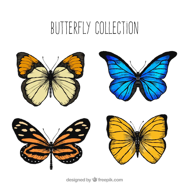 Free Vector | Assortment of decorative butterflies
