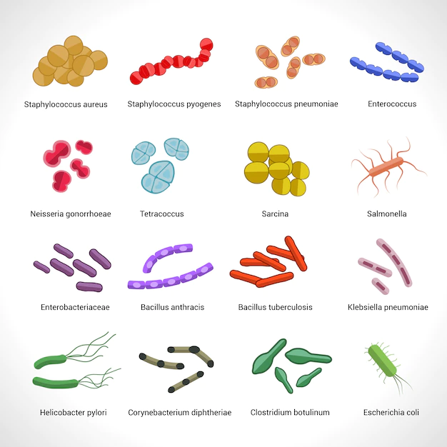 Free Vector | Bacteria icons set