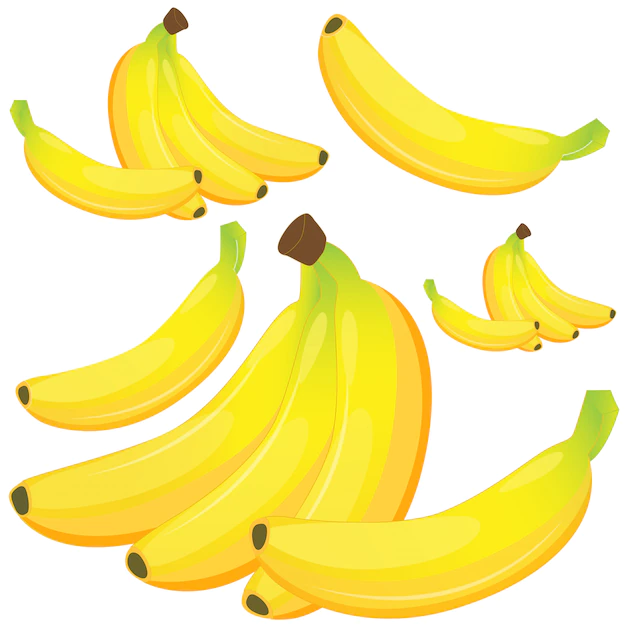 Free Vector | Banana on white background