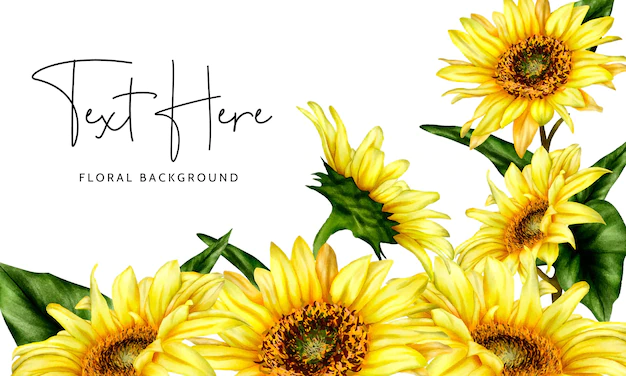 Free Vector | Beautiful watercolor blooming sunflower floral background template