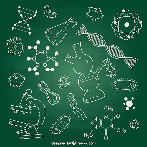 Free Vector | Biology elements on chalkboard