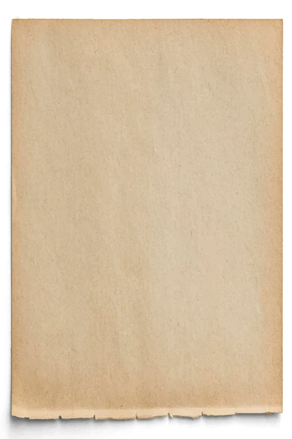 Free Vector | Blank brown paper design