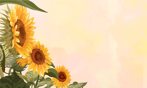 Free Vector | Blooming sunflower frame
