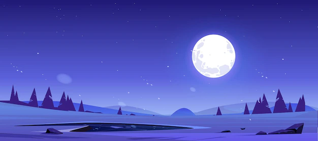 Free Vector | Cartoon night nature landscape full moon shining in sky with stars above field with pond, conifer trees and rocks. dark heaven with moonlight romantic fantasy background, midnight twilight vector view
