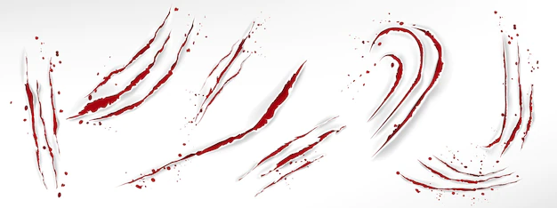 Free Vector | Cat claw scratches with blood drops, red torn slashes from wild animal