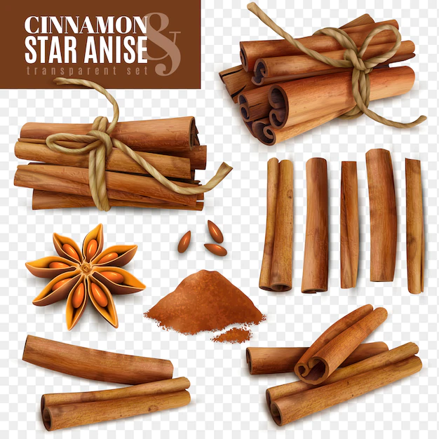 Free Vector | Cinnamon star anise transparent set