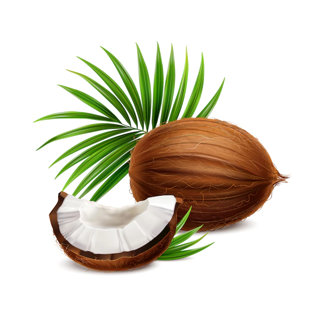 Free Vector | Coconut fresh whole and segment with white flesh closeup realistic composition with palm frond leaves  illustration