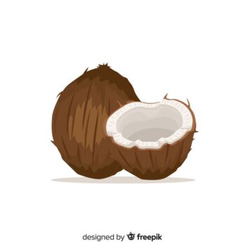 Free Vector | Coconuts
