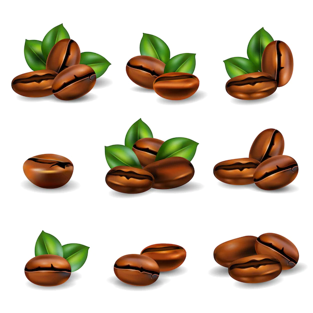 Free Vector | Coffee beans realistic set