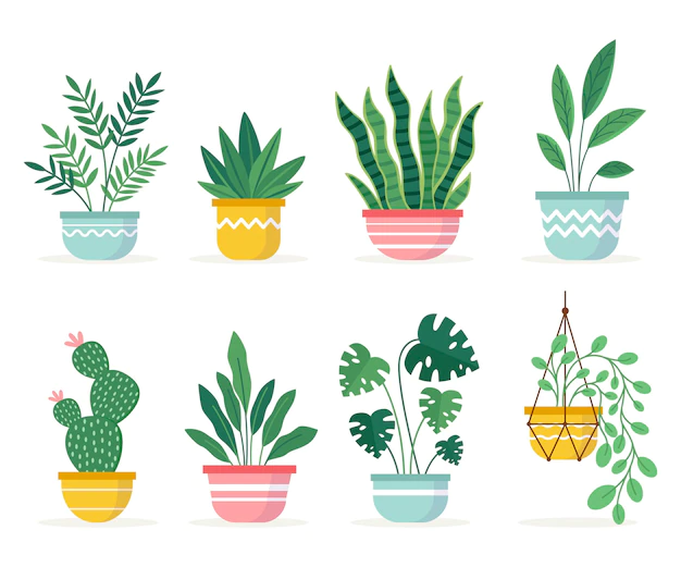 Free Vector | Collection of beautiful houseplants in pots