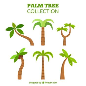 Free Vector | Collection of palm trees in flat design