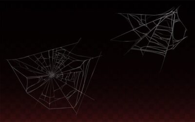 Free Vector | Collection of realistic cobweb, spider web isolated on dark background.