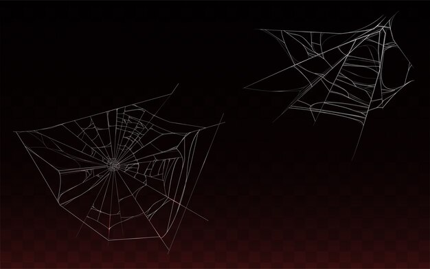 Free Vector | Collection of realistic cobweb, spider web isolated on dark background.