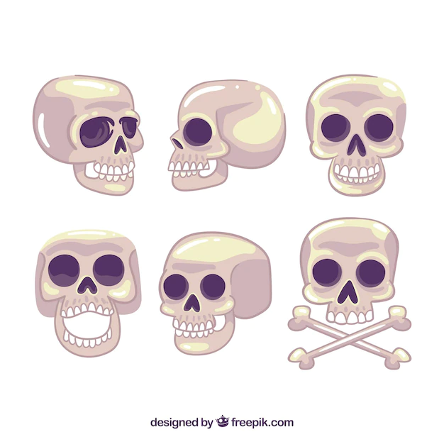 Free Vector | Collection of skulls in different positions