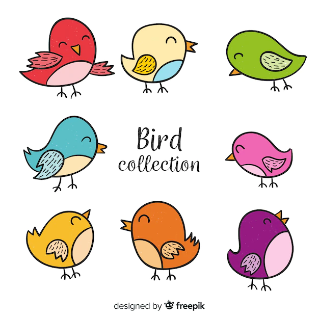 Free Vector | Colorful hand drawn bird collection