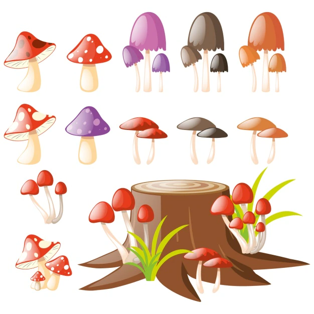 Free Vector | Coloured mushrooms collection