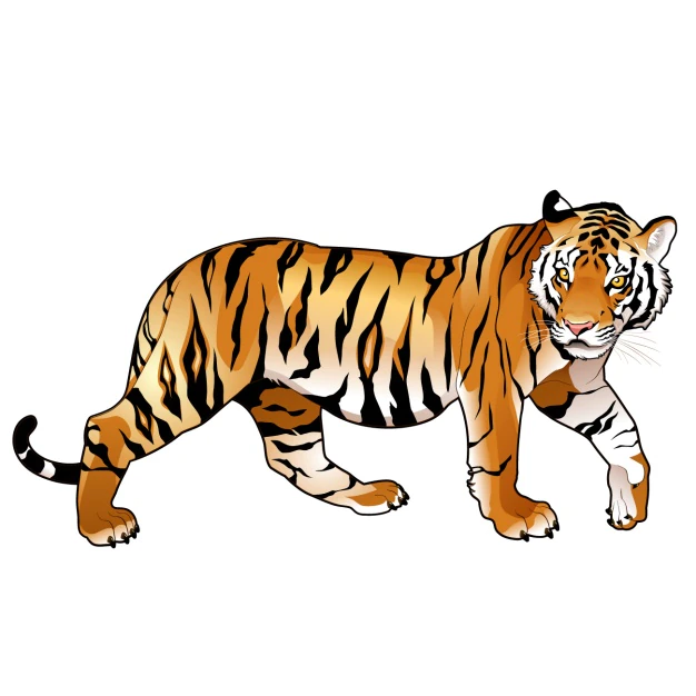 Free Vector | Coloured tiger design