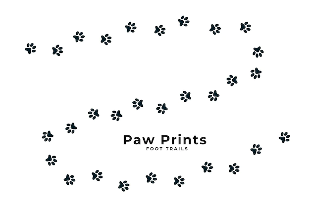 Free Vector | Cute puppy or dog paw print trail