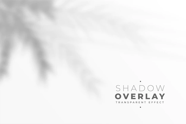 Free Vector | Defocused blue leaves shadow on white wall effect background