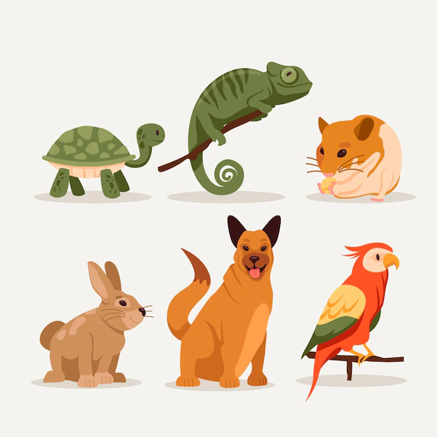 Free Vector | Different pets variety