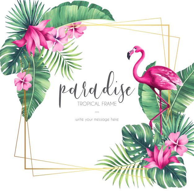 Free Vector | Exotic frame with tropical elements
