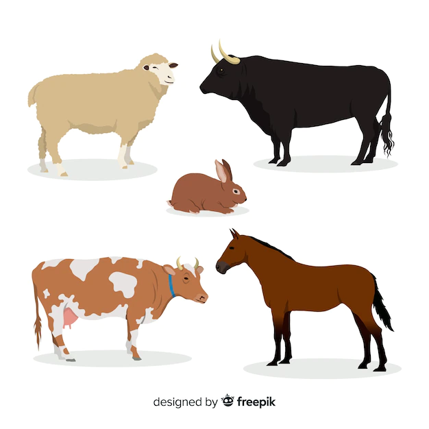 Free Vector | Farm animal collection in flat style