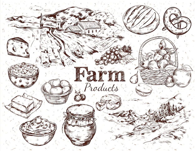 Free Vector | Farm products sketch set