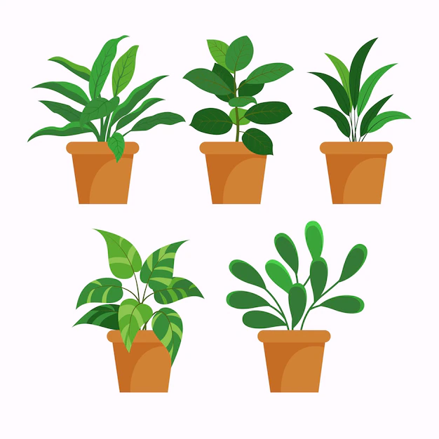 Free Vector | Flat houseplant collection