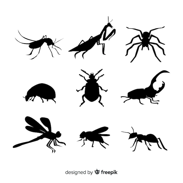 Free Vector | Flat insect silhouettes collection