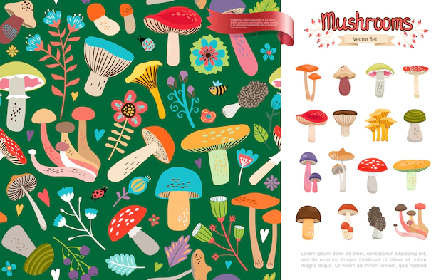Free Vector | Flat summer forest mushrooms concept