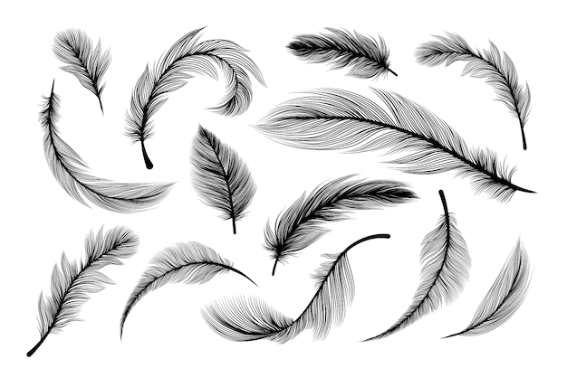 Free Vector | Fluffy feathers, flying plume quills silhouettes