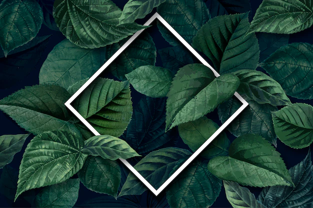 Free Vector | Forest leaf frame