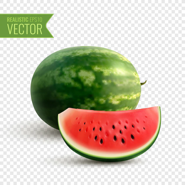 Free Vector | Fruity realistic design concept with whole watermelon and appetizing juicy slice of ripe red berry transparent