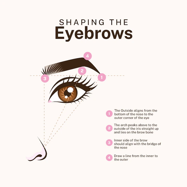 Free Vector | Gradient brow mapping illustration