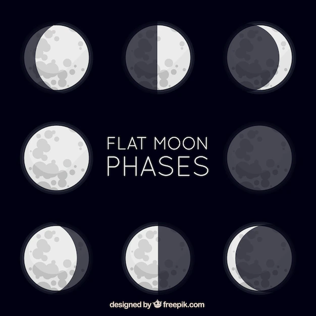 Free Vector | Great flat moon phases