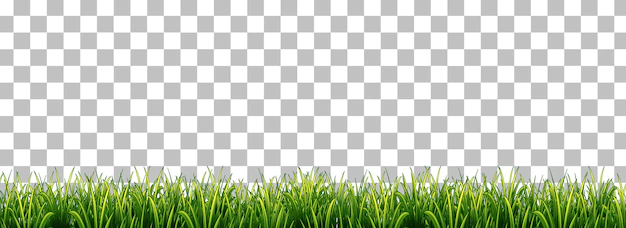 Free Vector | Green grass on transparent background