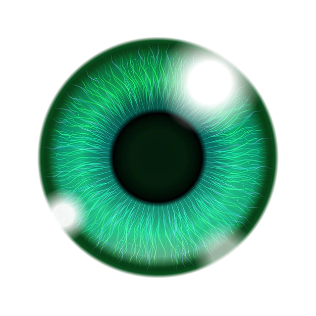 Free Vector | Green human eye isolated