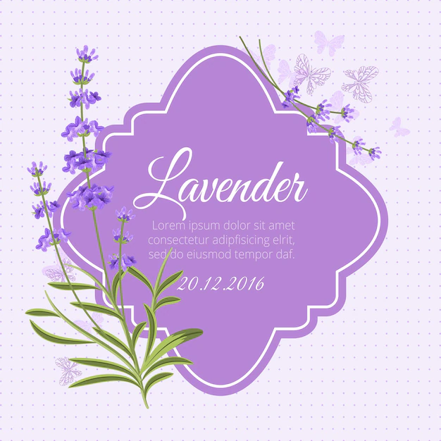 Free Vector | Greeting card template with fragrant lavender