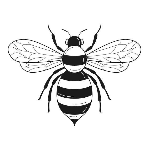 Free Vector | Hand drawn bee outline illustration
