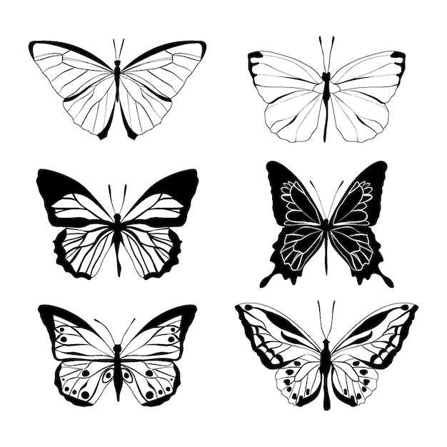 Free Vector | Hand drawn butterfly outline pack