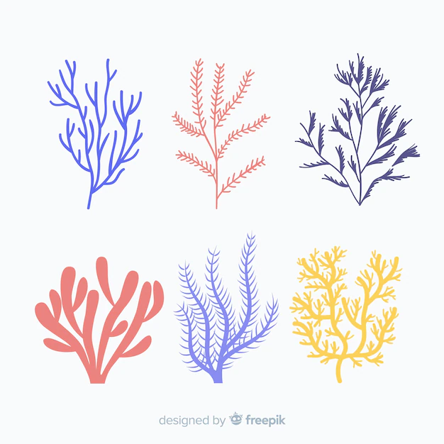 Free Vector | Hand drawn coral pack