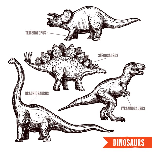 Free Vector | Hand drawn dinosaurs set black doodle