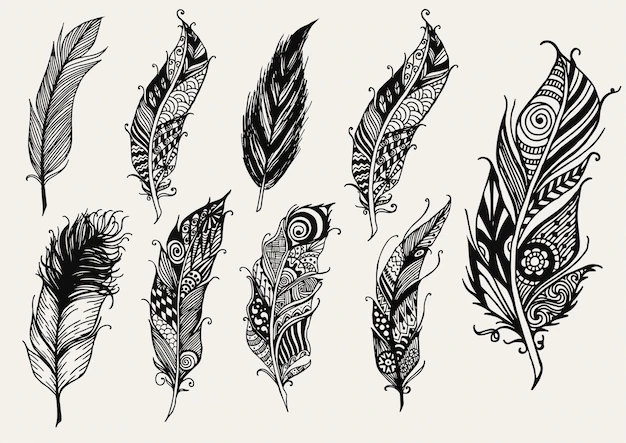 Free Vector | Hand drawn feather collection